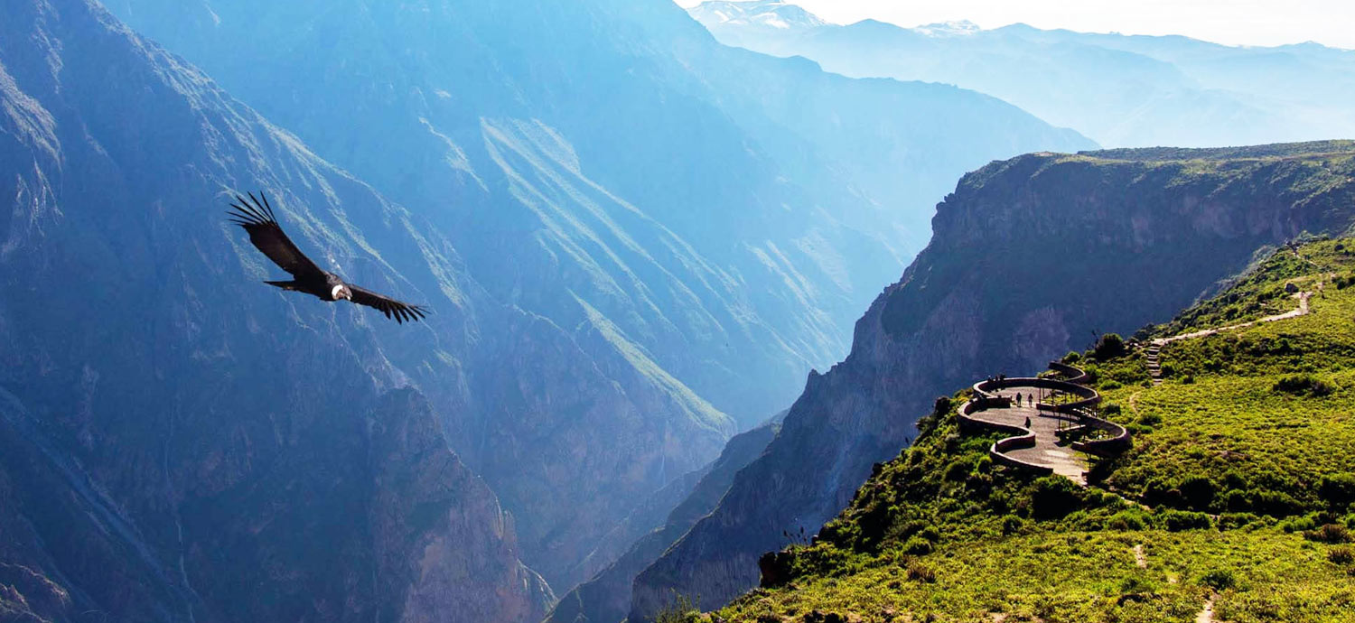 Trek Cañón del Colca 2D/1N